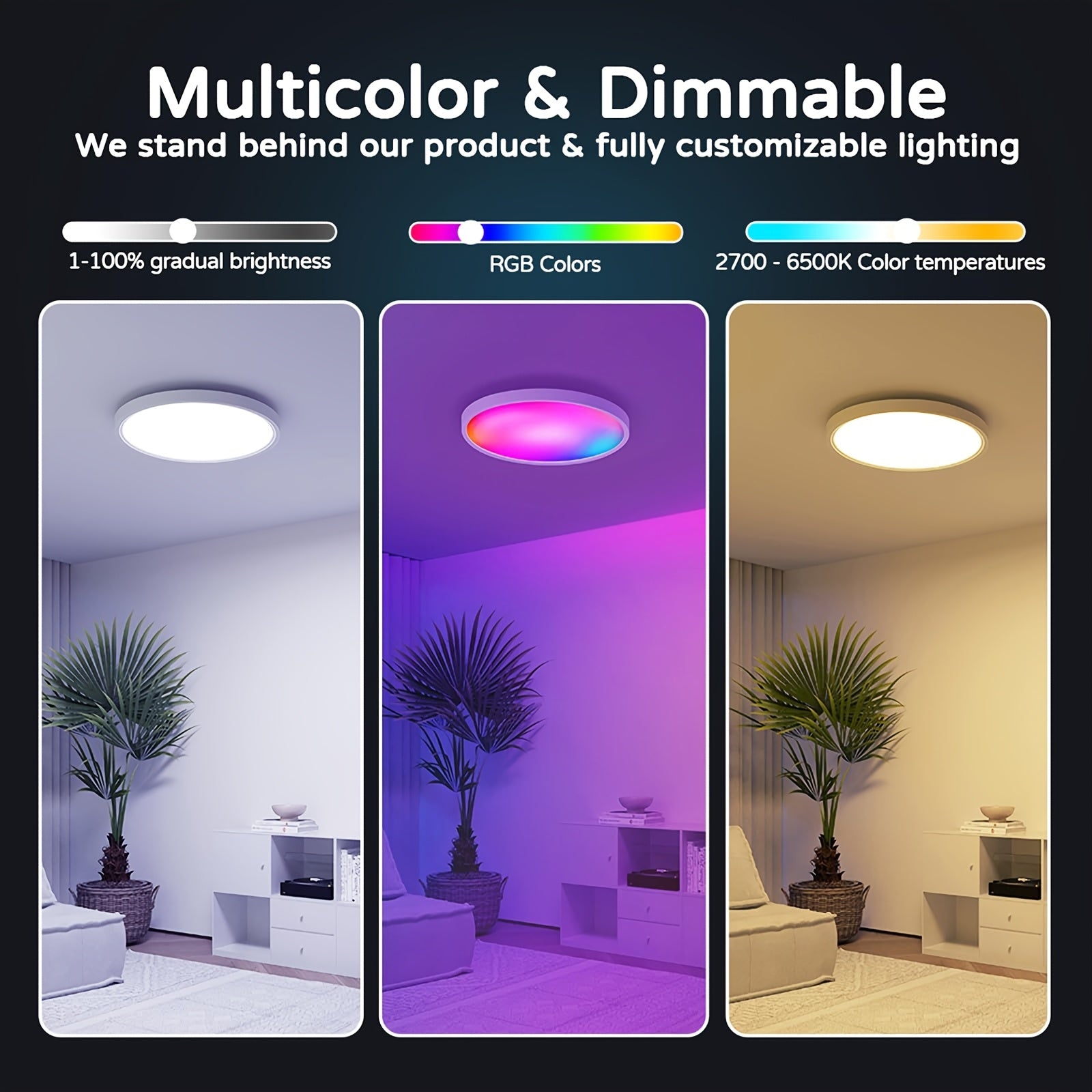 Smart RGB Ceiling Light