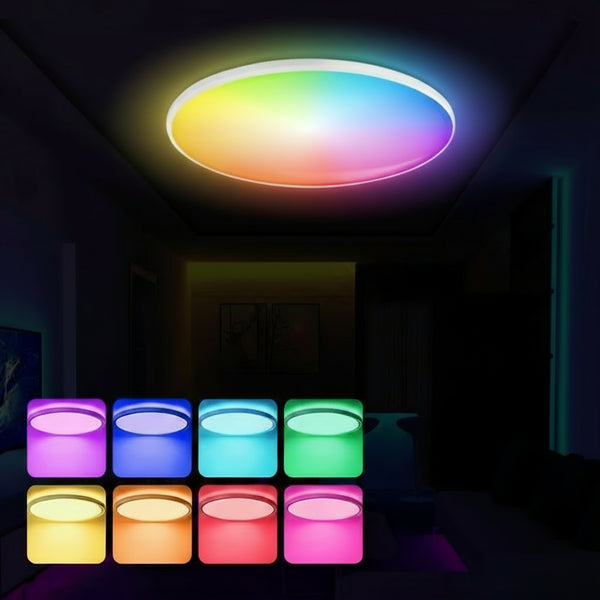 Smart RGB Ceiling Light
